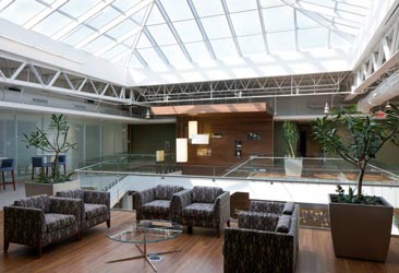 Chicago Commercial Real Estate Firm