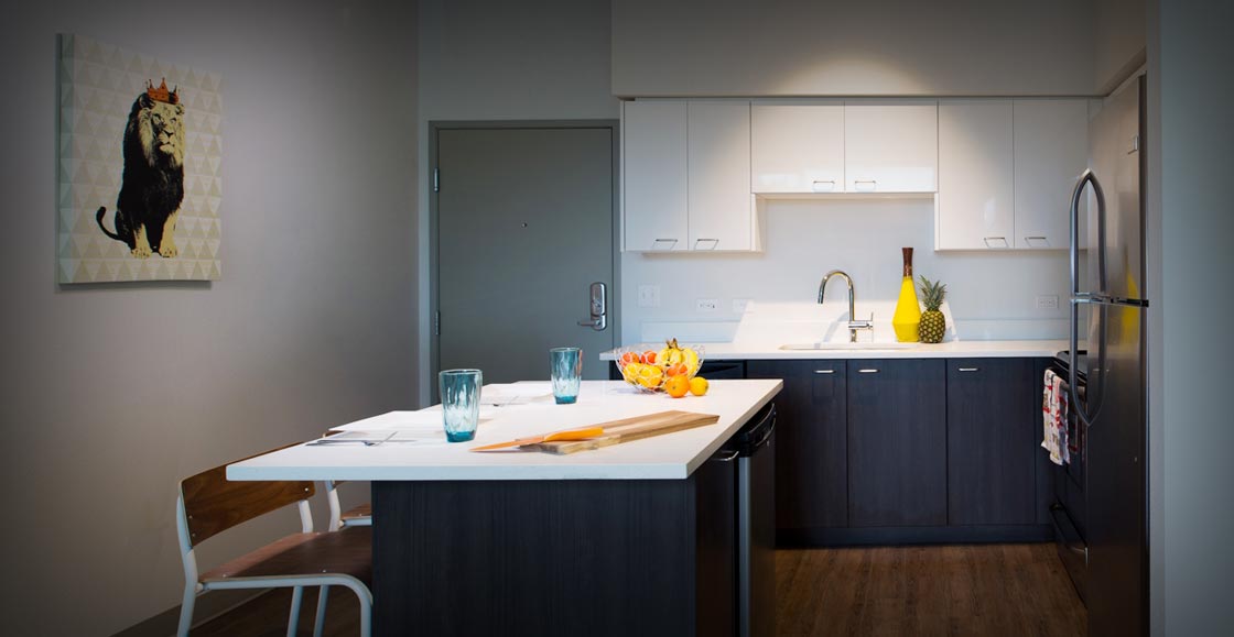 Chicago Real Estate Firm