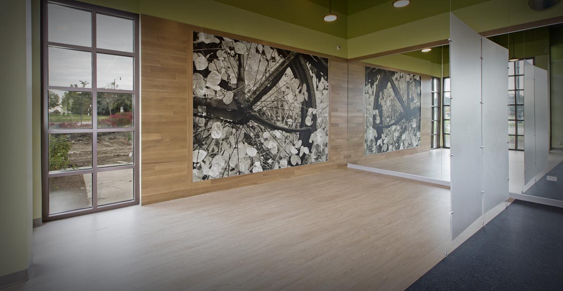 Real Estate Developers Chicago